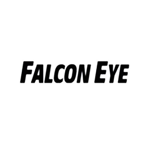 Falcon Eye logo